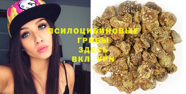 прущая мука Богданович