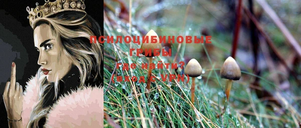 прущая мука Богородск